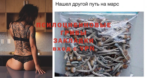 молекула духа Верея